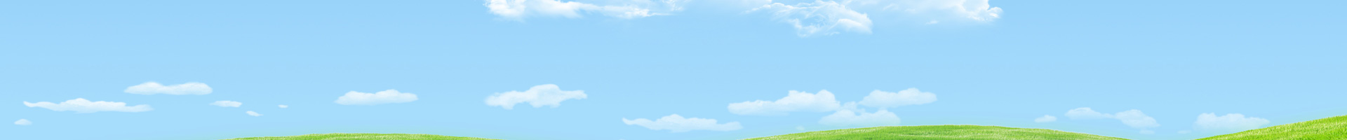資質(zhì)榮譽(yù)